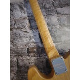 Vox Humana TE-Custom (2015) occasion