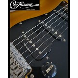 Vox Humana ST-HSS Custom Guitar Whiskeyburst