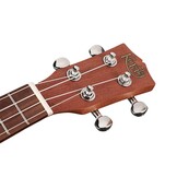 Korala ukelele concert mahogany