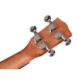 Korala ukelele concert mahogany