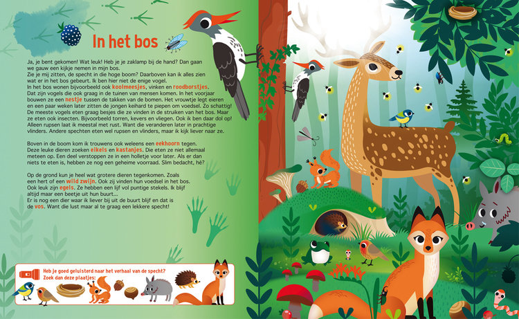 Lantaarn Publishers Zoekboek - Speuren in de dierenwereld