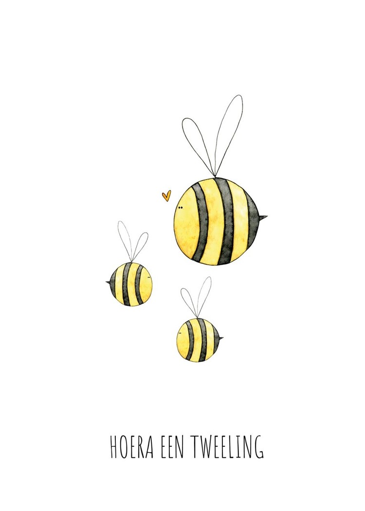 Juulz Kaart - Hoera een tweeling (bij)