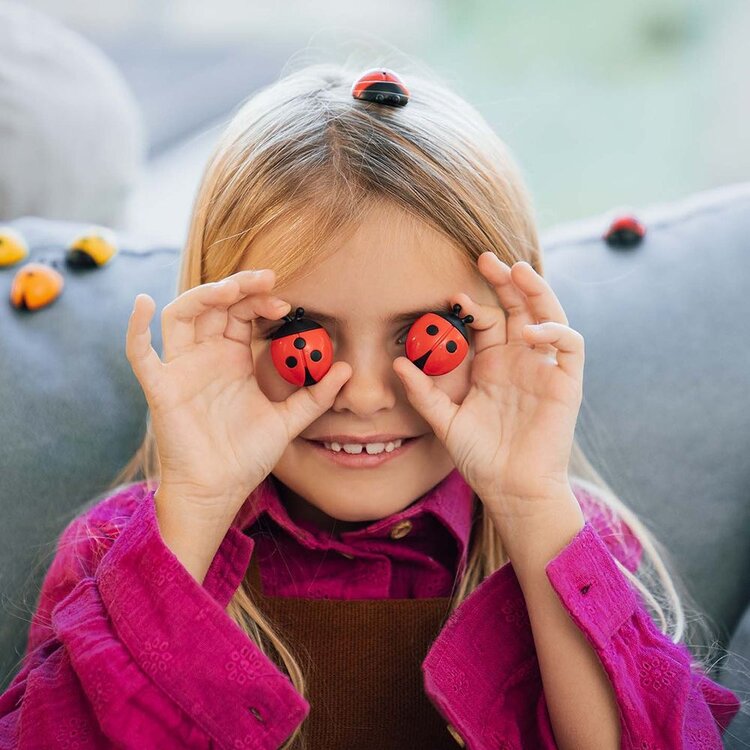 Smart Games Logibugs