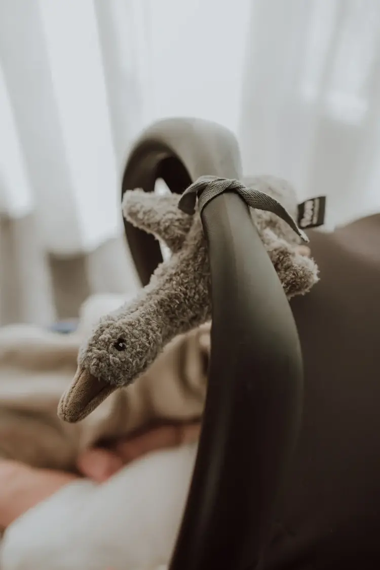 Flow Amsterdam Liva (Grey) - Comforter on the go