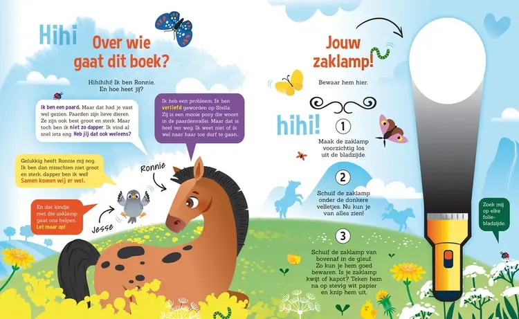 Lantaarn Publishers Zoekboek - Speuren naar paarden
