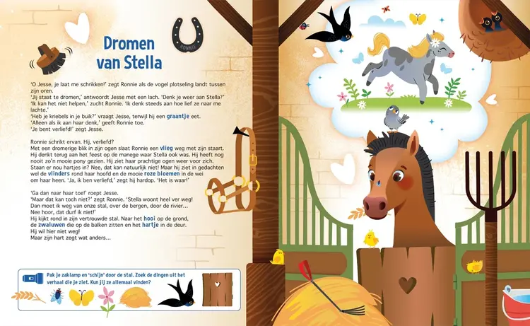 Lantaarn Publishers Zoekboek - Speuren naar paarden