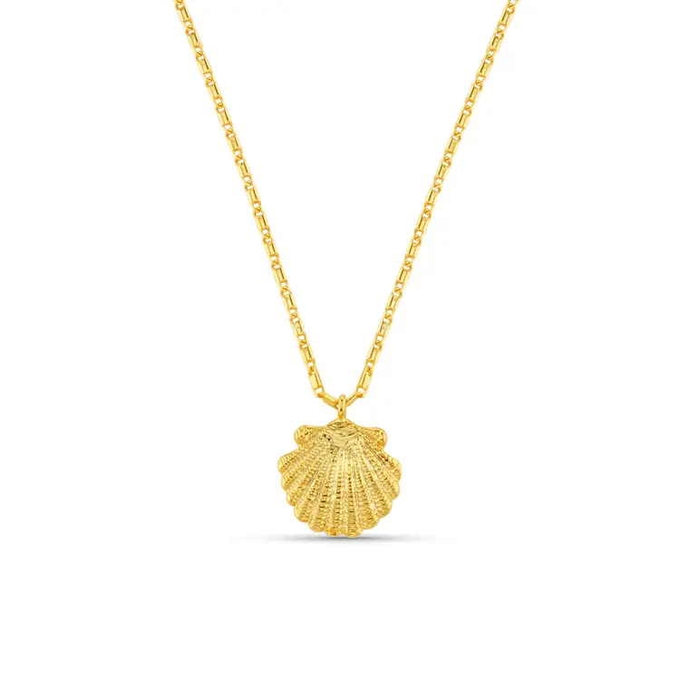 Orelia Shell Charm Necklace - Pale Gold