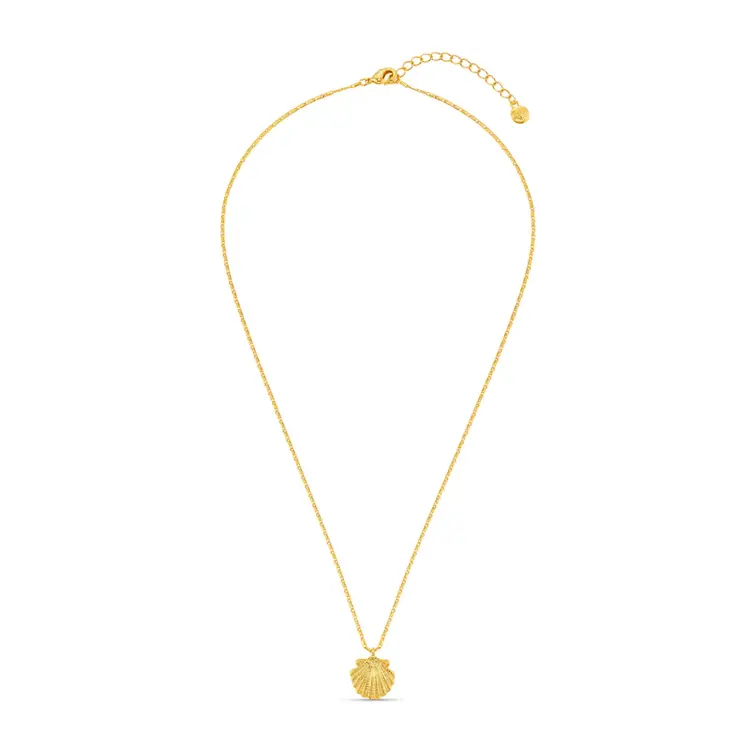 Orelia Shell Charm Necklace - Pale Gold