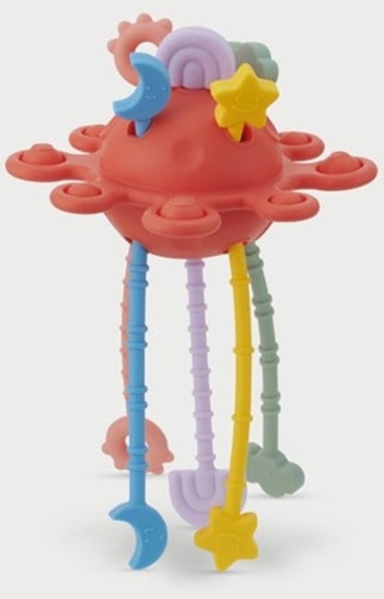 Tickit Tickit Silisoft Zip Trek Speelgoed (regenboog)