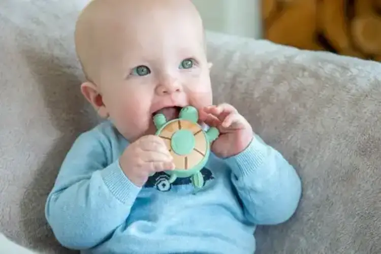 Tickit Tickit Silisoft Schildpad Bijtspeelgoed