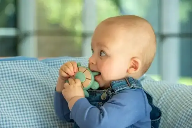 Tickit Tickit Silisoft Schildpad Bijtspeelgoed