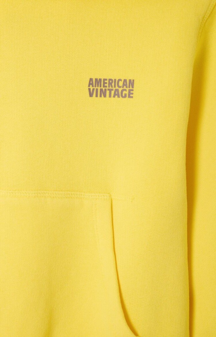 American Vintage Izubird hoodie - Acacia vintage