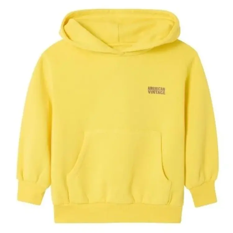 American Vintage Izubird hoodie - Acacia vintage