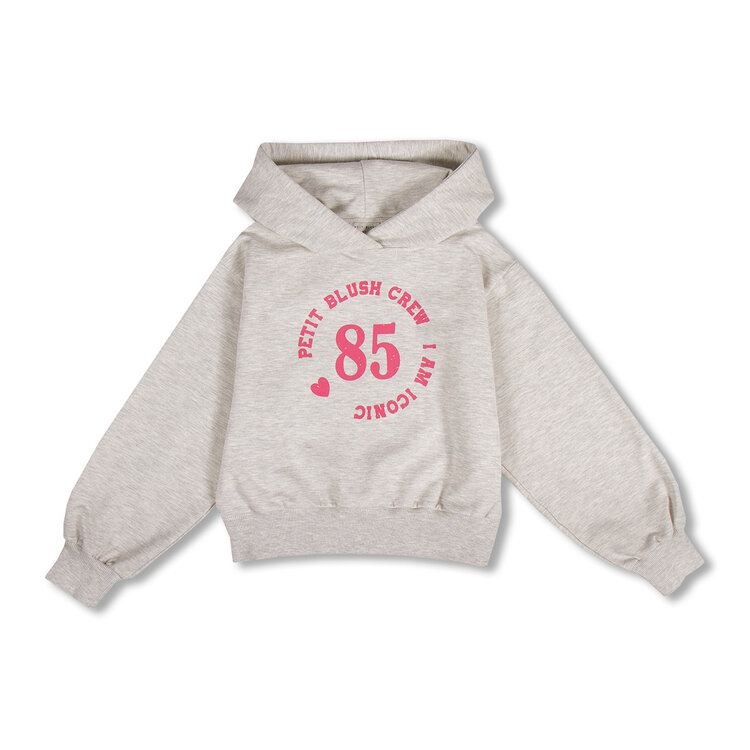 Petit Blush Hooded Sweater - Grey Melange