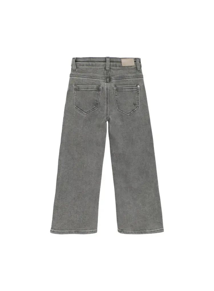 Daily7 Jeans Wide Fit - Used Grey Denim