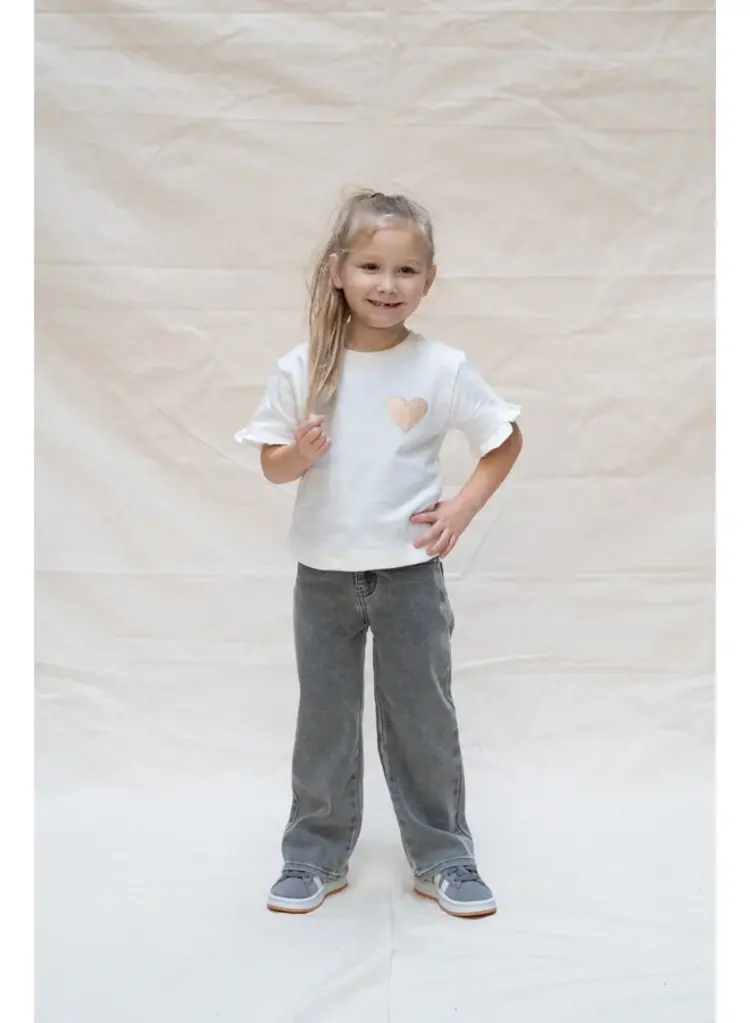 Daily7 Jeans Wide Fit - Used Grey Denim