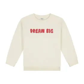 Call me Frankie Dream big sweater