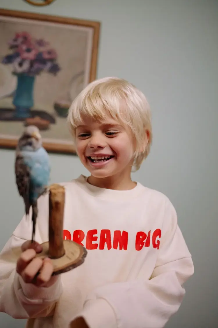 Call me Frankie Dream big sweater