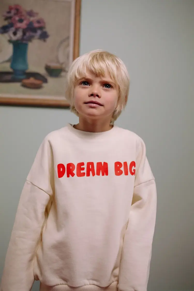 Call me Frankie Dream big sweater