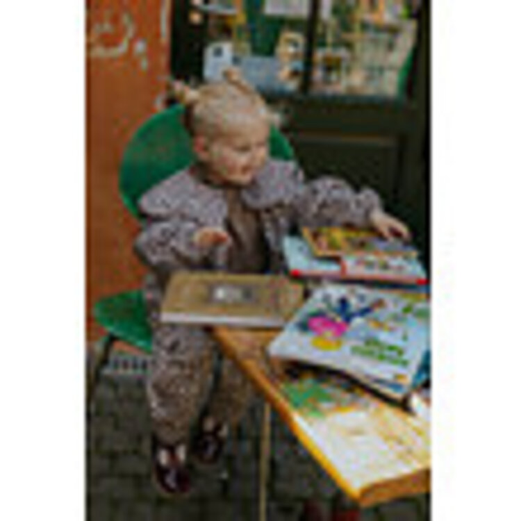 Fliink Leo Pant - Pine Bark