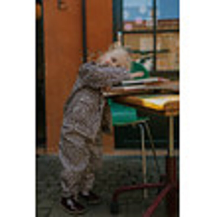 Fliink Leo Pant - Pine Bark