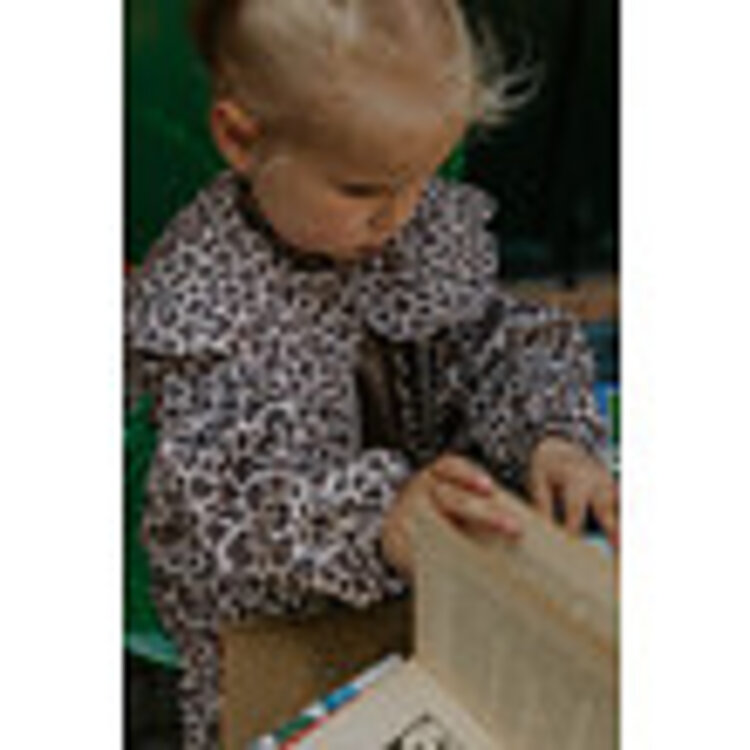 Fliink Leo Bomber Jacket - Pine Bark