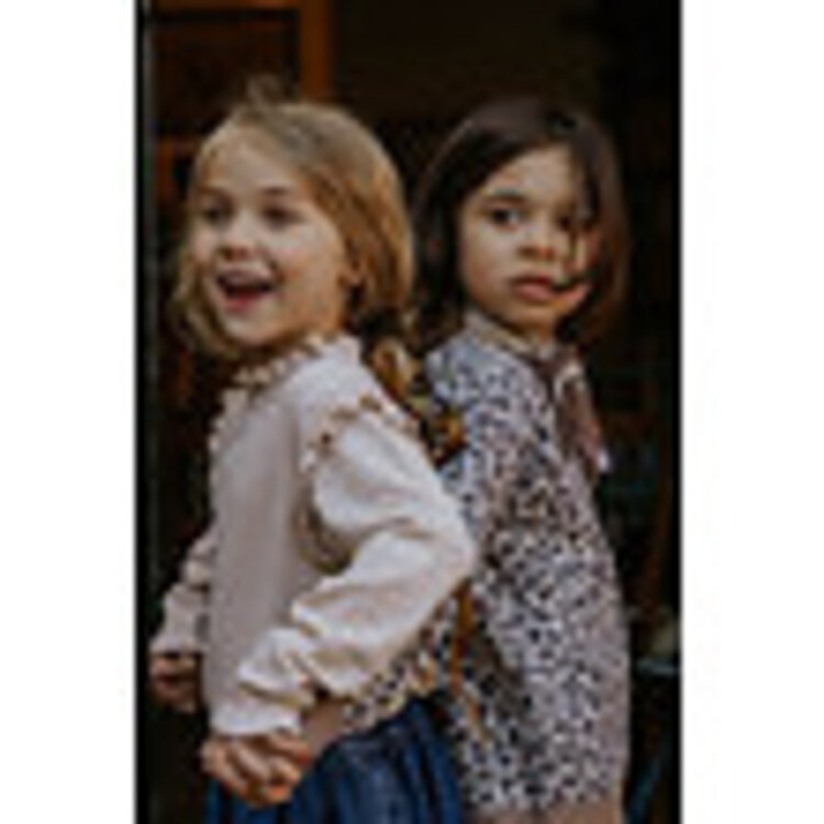 Fliink Benna Leo Pullover - Pine Bark