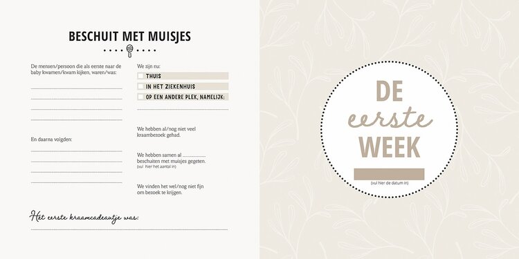 Lantaarn Publishers Mijn eerste jaar - van baby tot dreumes