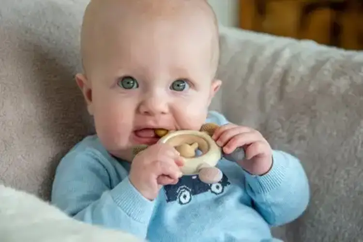 Tickit Tickit Silisoft Rammelaar Bijtspeelgoed (aardekleuren)