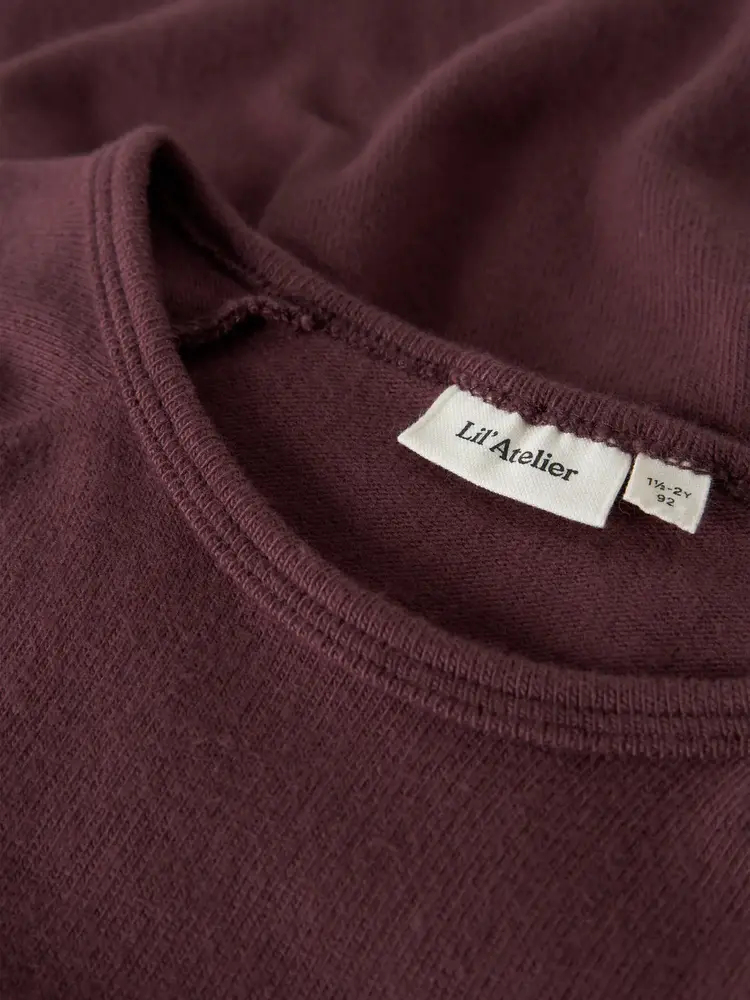 Lil'Atelier Thora dress - Catawba Grape