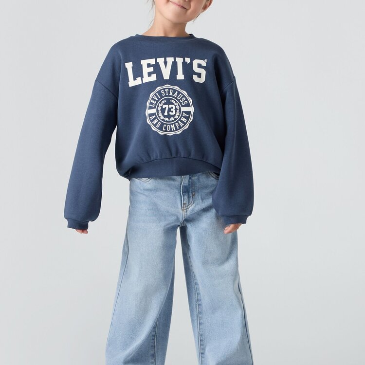 Levi's High Rise Baggy Jeans - This and That w/o Destruction