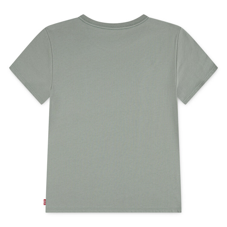 Levi's Batwing Tee - Shadow