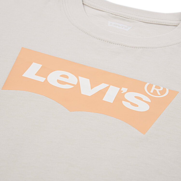 Levi's Batwing Tee - Pumice Stone
