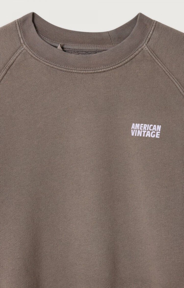 American Vintage Izubird sweat - Cendre Vintage