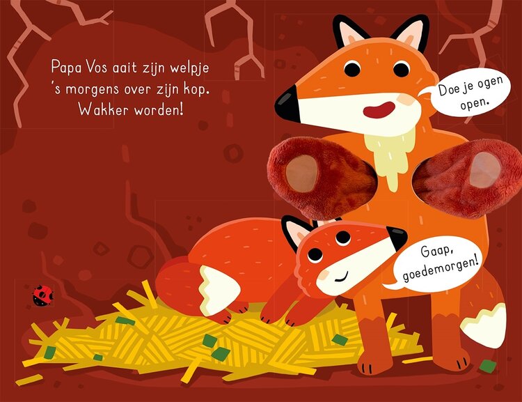 Lantaarn Publishers Bosvriendjes