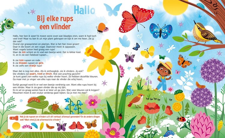 Lantaarn Publishers Zoekboek - Speuren naar vlinders