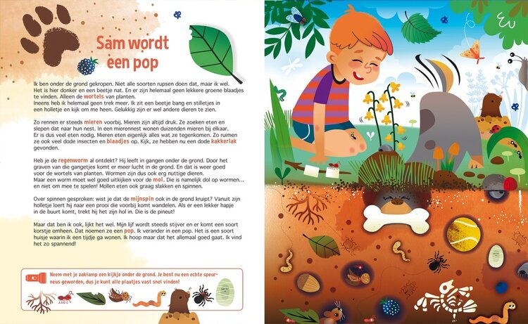 Lantaarn Publishers Zoekboek - Speuren naar insecten