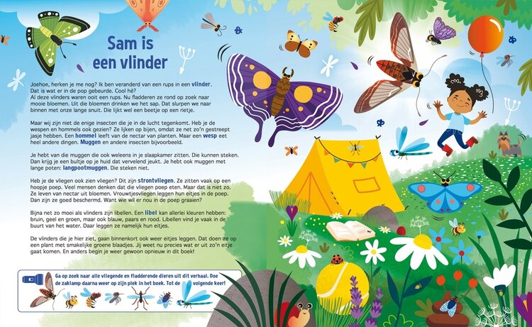 Lantaarn Publishers Zoekboek - Speuren naar insecten