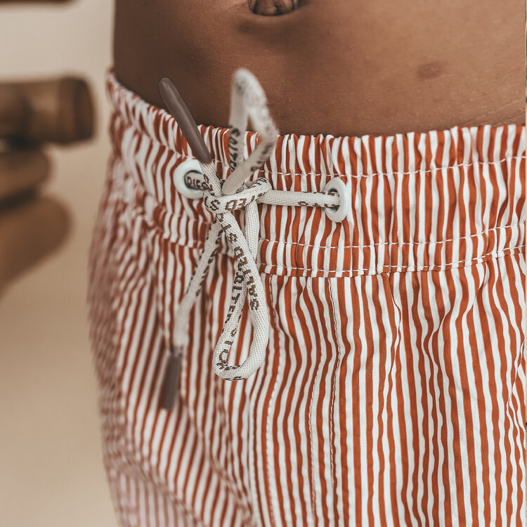 Salted Stories Seersucker Swim Shorts - Bombay Brown