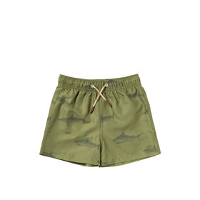 Salted Stories Shark Swim Shorts - Iguana
