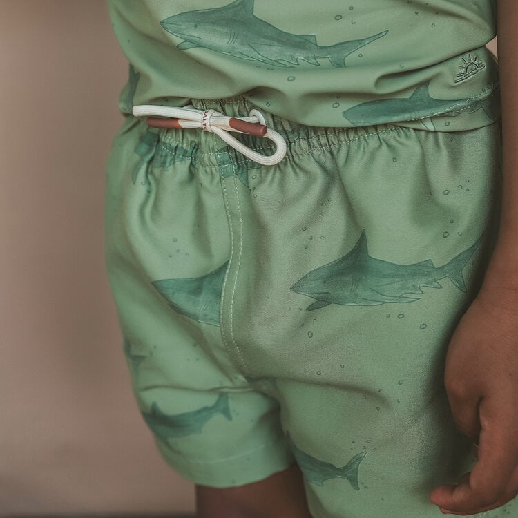 Salted Stories Shark Swim Shorts - Iguana