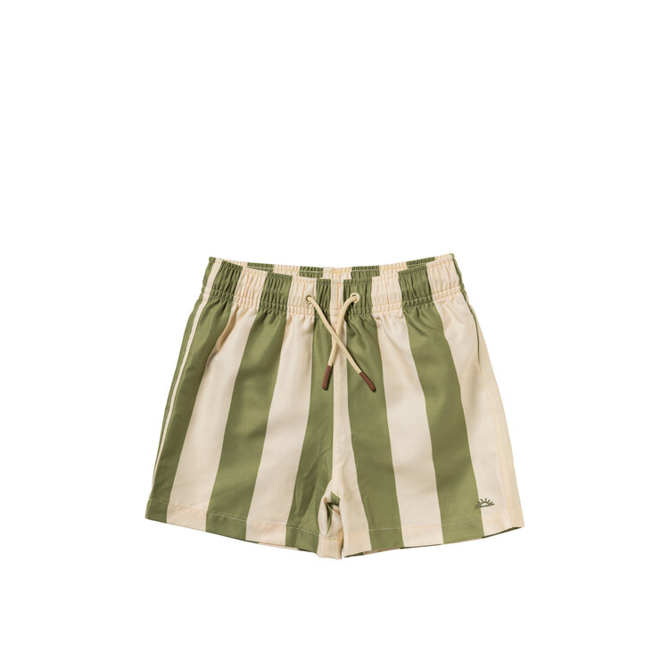 Salted Stories Wide Stripe Swim Shorts - Iguana