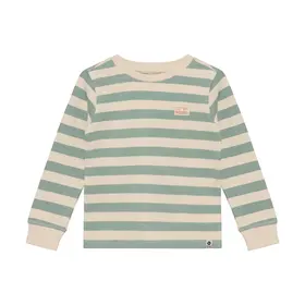 Daily7 T-shirt Longsleeve Stripe - Green Milieu