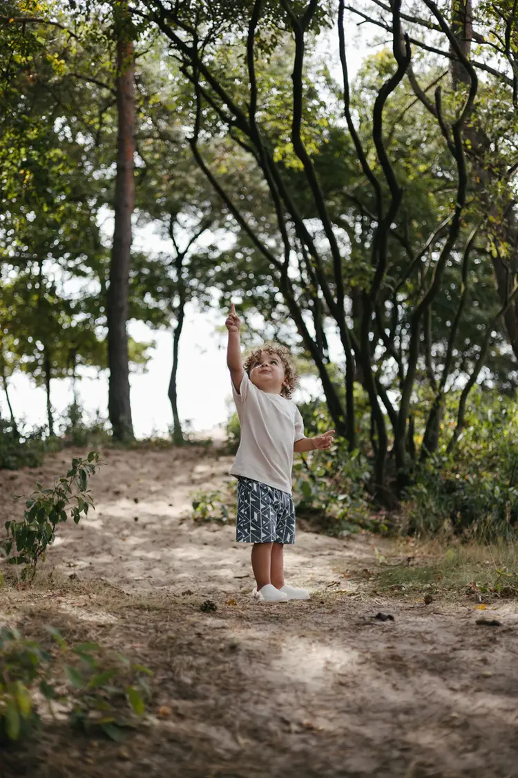 LEVV Pants Brady - Blue Graphic