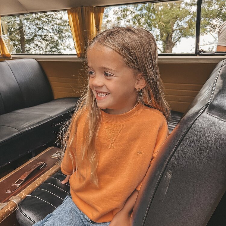 YourWishes French Knit Shortsleeve Sweater - Copper Tan