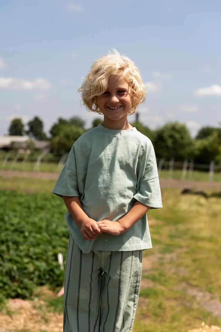 Jenest Ben Oversized Tshirt - Sage Green