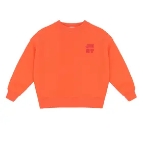 Jenest Bird Sweater - Coral Orange