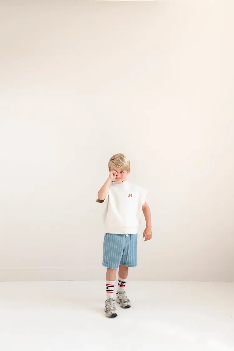 Jenest Knox Stripe Shorts - Indigo Stripe