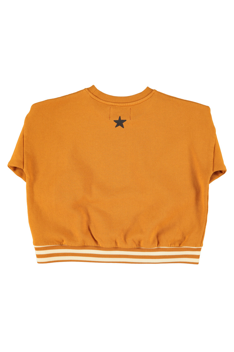 Piupiuchick Sweatshirt - Camel "school trip" print
