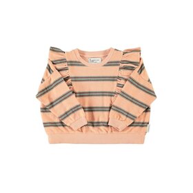 Piupiuchick Terry Cotton Sweatshirt - Light Pink double stripes